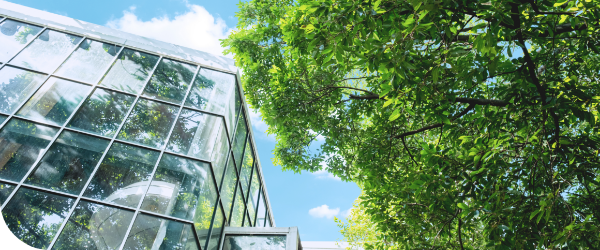 Bureaux et une arbre